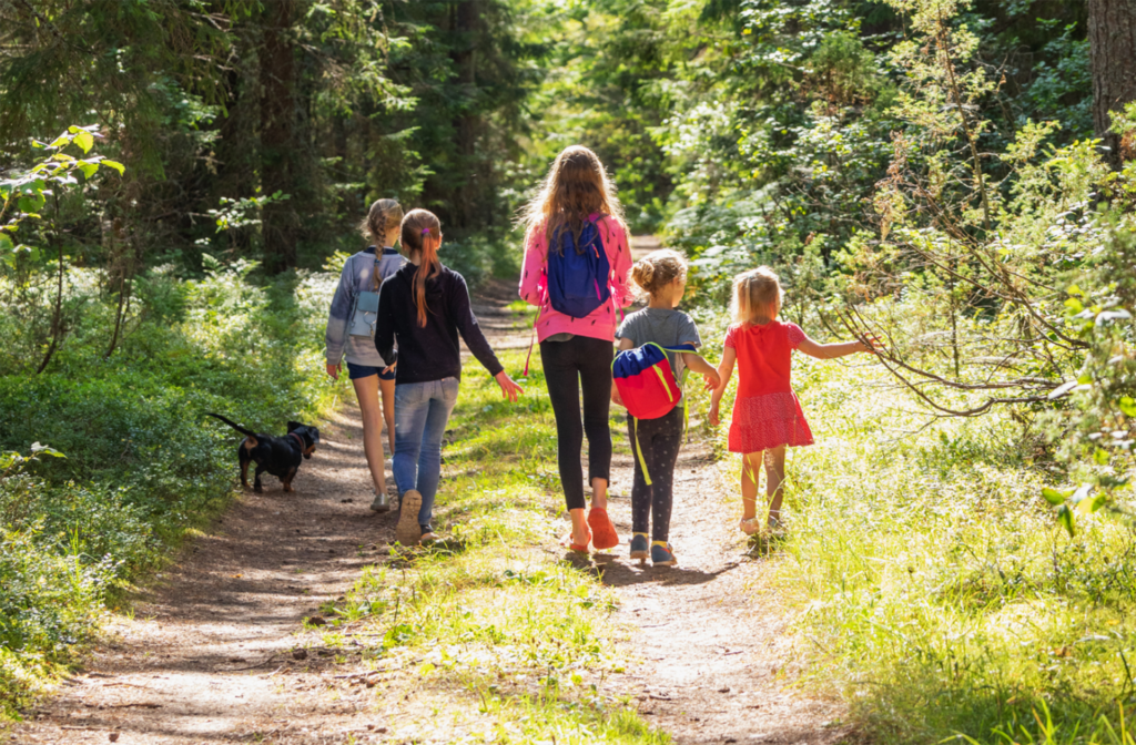 Family Activities in Hertfordshire and Buckinghamshire children walking along a woodland path